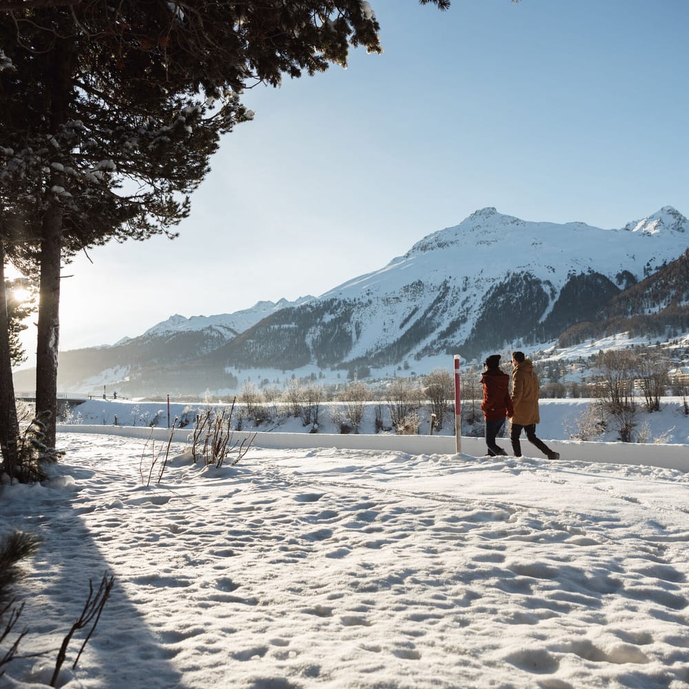 Winterwandern in Samedan