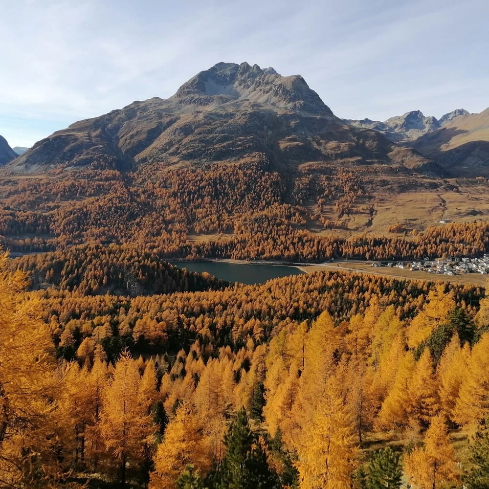 Fünf goldene Herbstwanderungen im Engadin