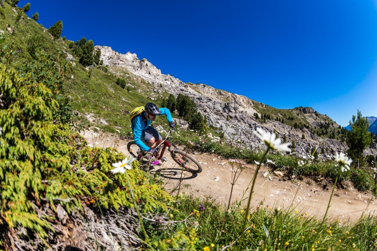 Flow Trail Safari rot (E-Mountainbike)