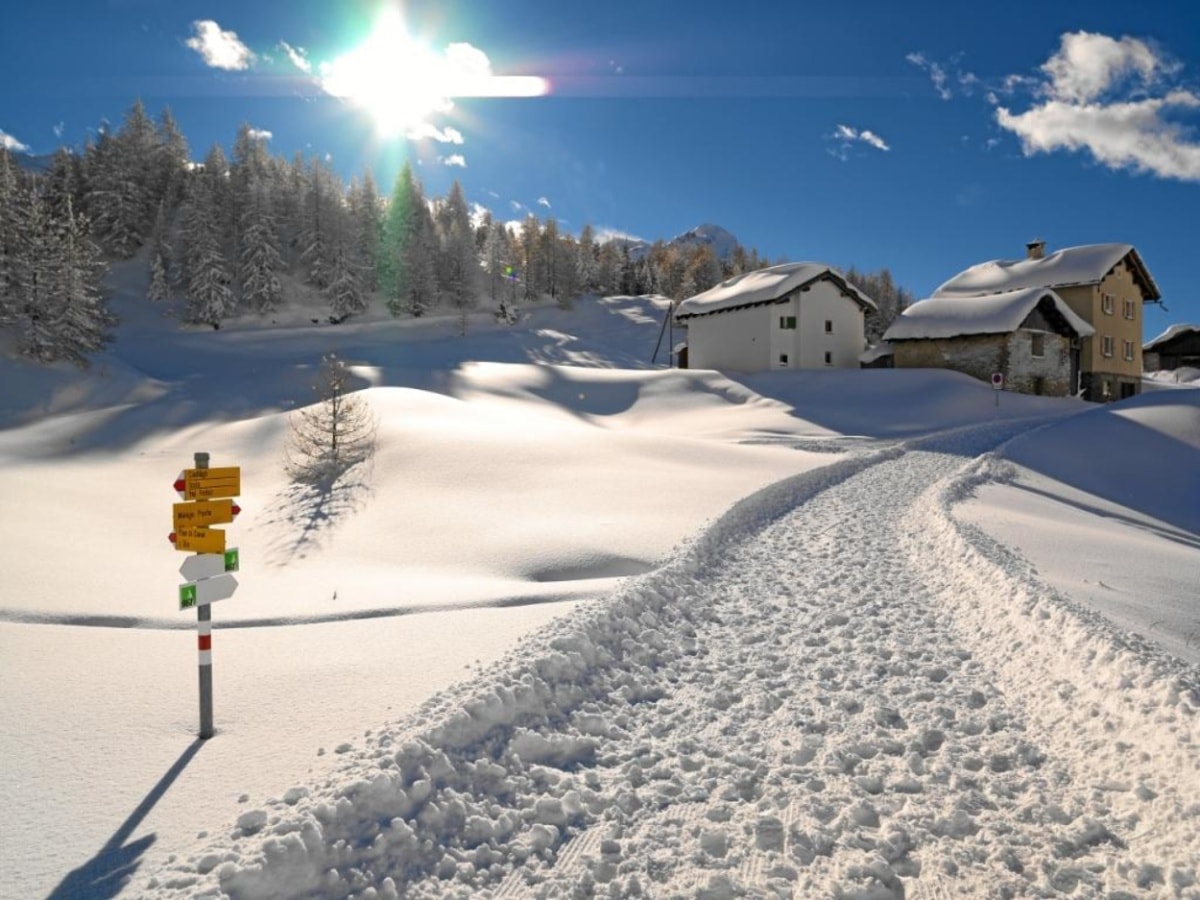 Maloja - Brusciabräga - Rundweg